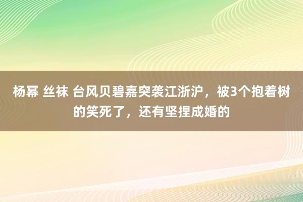 杨幂 丝袜 台风贝碧嘉突袭江浙沪，被3个抱着树的笑死了，还有坚捏成婚的
