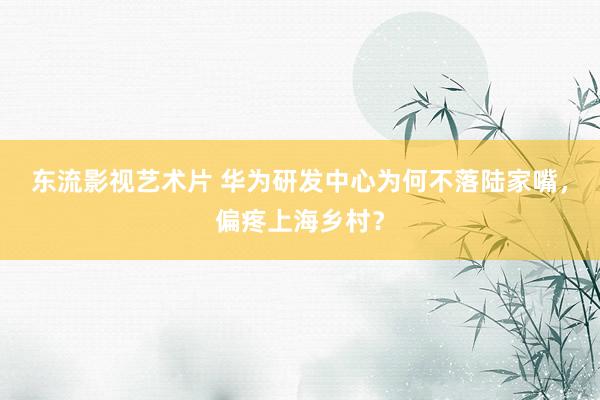 东流影视艺术片 华为研发中心为何不落陆家嘴，偏疼上海乡村？