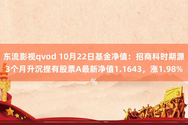 东流影视qvod 10月22日基金净值：招商科时期源3个月升沉捏有股票A最新净值1.1643，涨1.98%