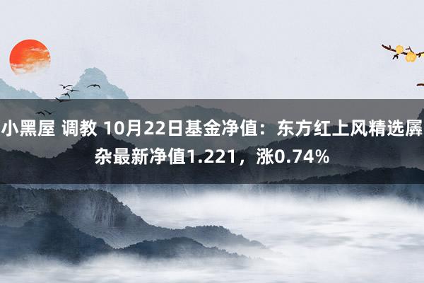 小黑屋 调教 10月22日基金净值：东方红上风精选羼杂最新净值1.221，涨0.74%