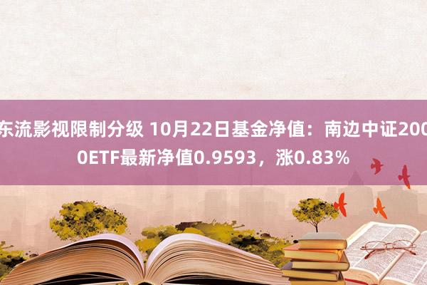 东流影视限制分级 10月22日基金净值：南边中证2000ETF最新净值0.9593，涨0.83%