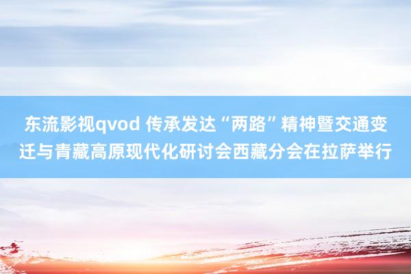 东流影视qvod 传承发达“两路”精神暨交通变迁与青藏高原现代化研讨会西藏分会在拉萨举行
