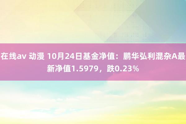 在线av 动漫 10月24日基金净值：鹏华弘利混杂A最新净值1.5979，跌0.23%