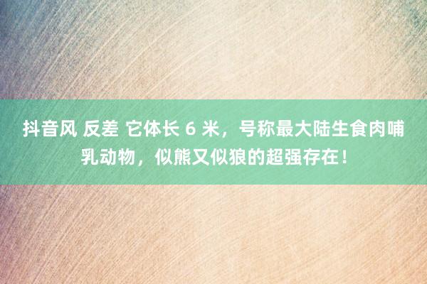 抖音风 反差 它体长 6 米，号称最大陆生食肉哺乳动物，似熊又似狼的超强存在！