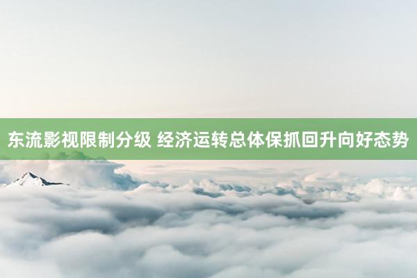 东流影视限制分级 经济运转总体保抓回升向好态势
