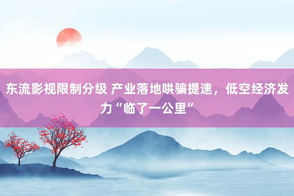 东流影视限制分级 产业落地哄骗提速，低空经济发力“临了一公里”