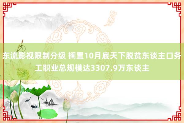 东流影视限制分级 搁置10月底天下脱贫东谈主口务工职业总规模达3307.9万东谈主
