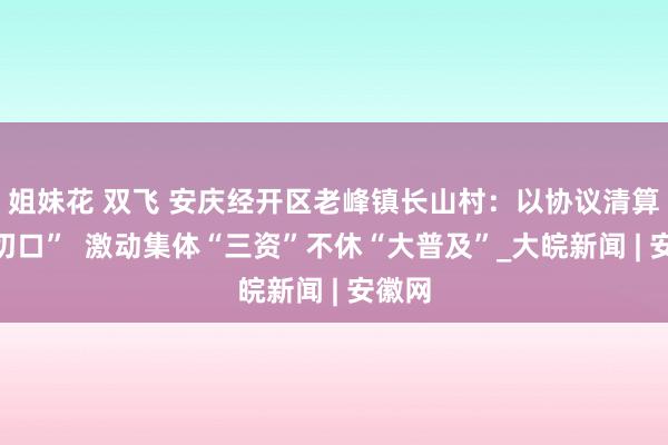 姐妹花 双飞 安庆经开区老峰镇长山村：以协议清算“小切口”  激动集体“三资”不休“大普及”_大皖新闻 | 安徽网