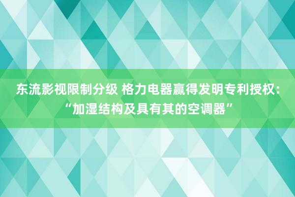 东流影视限制分级 格力电器赢得发明专利授权：“加湿结构及具有其的空调器”