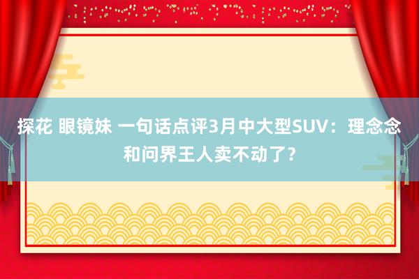 探花 眼镜妹 一句话点评3月中大型SUV：理念念和问界王人卖不动了？