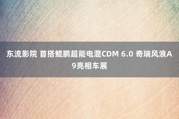 东流影院 首搭鲲鹏超能电混CDM 6.0 奇瑞风浪A9亮相车展